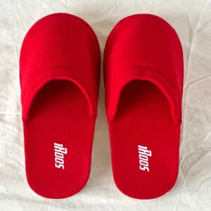 Slippers - Image 1