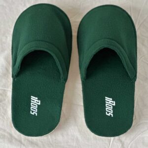 Slippers - Image 1