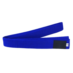 Martial Arts Belt - Image 1